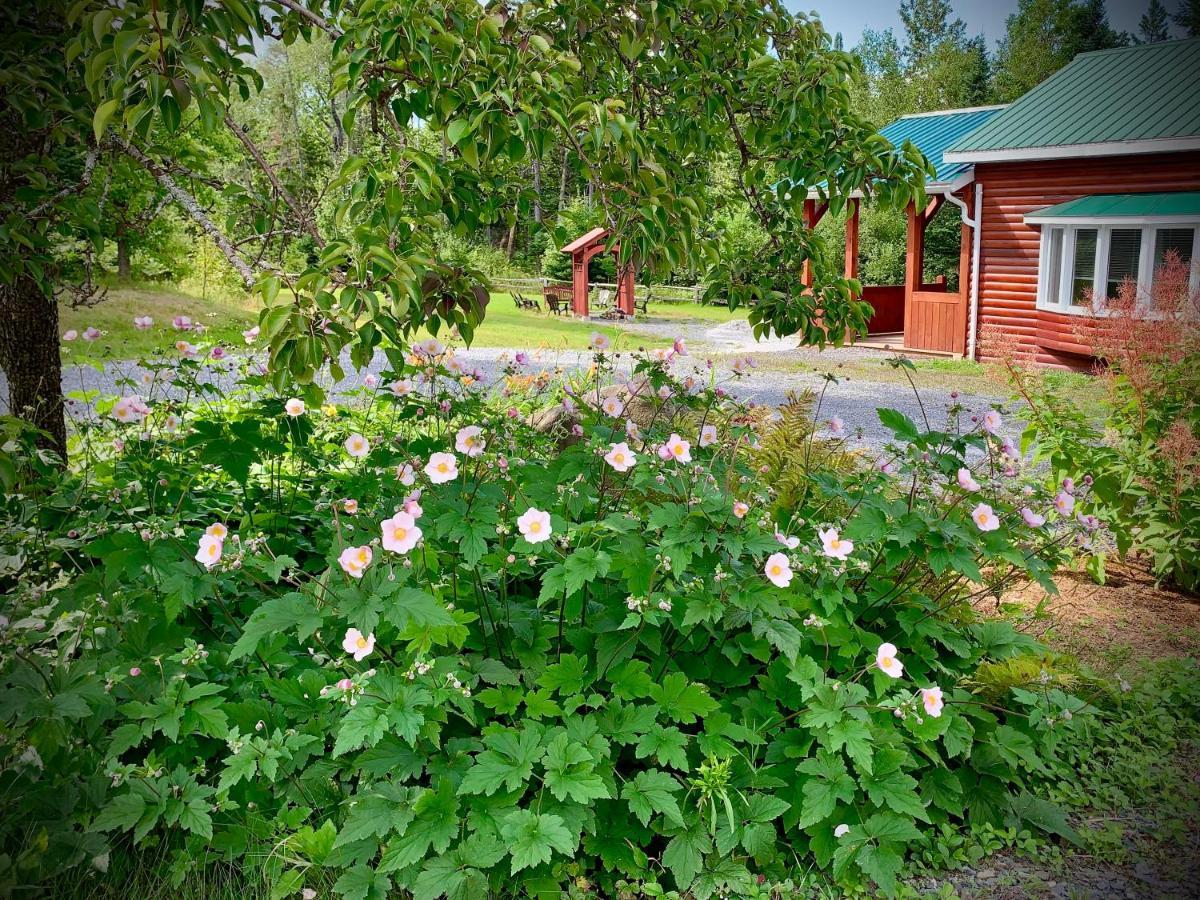 Domaine Gagnon Villa Saint Sebastien Exterior foto