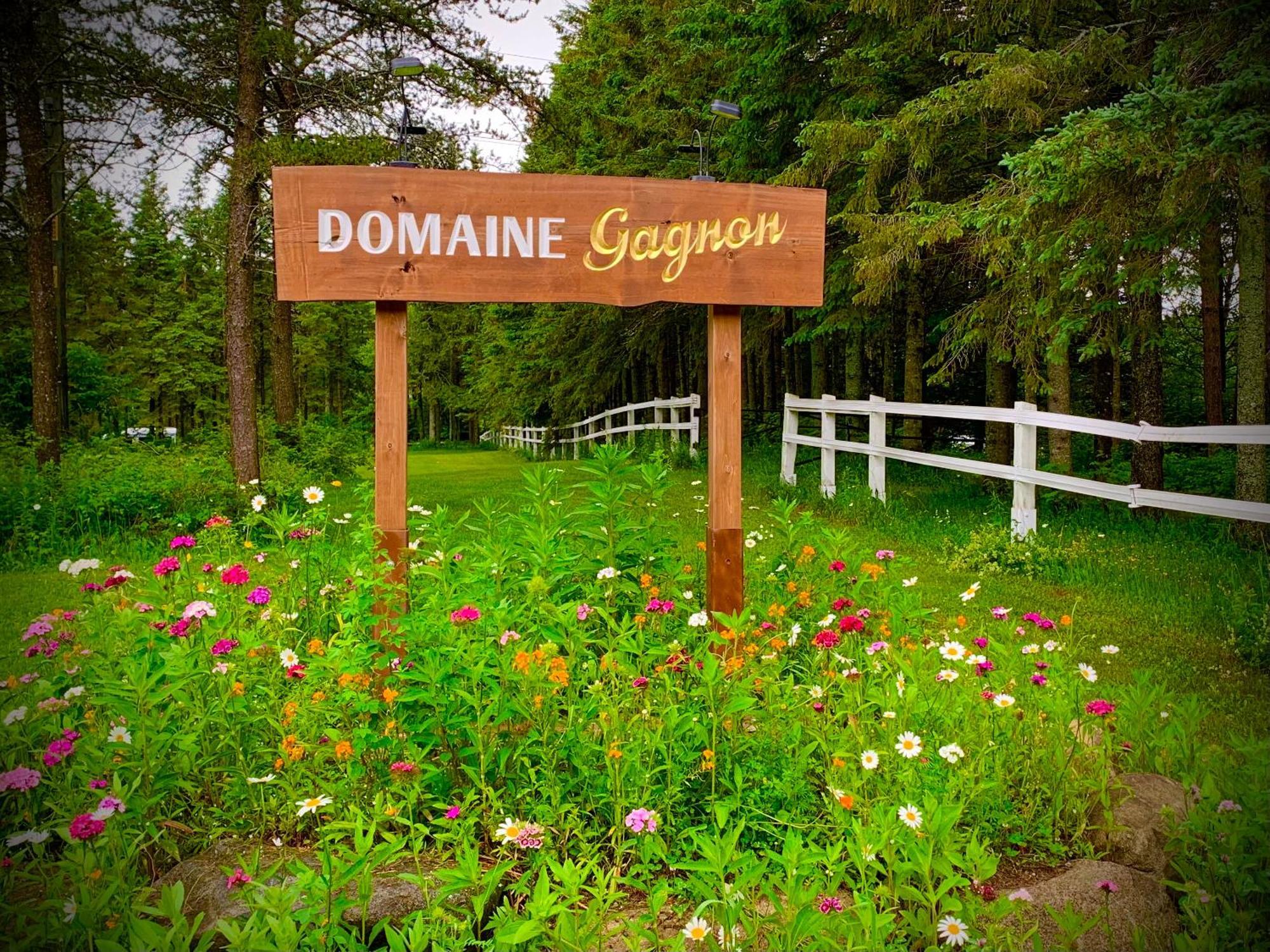 Domaine Gagnon Villa Saint Sebastien Exterior foto