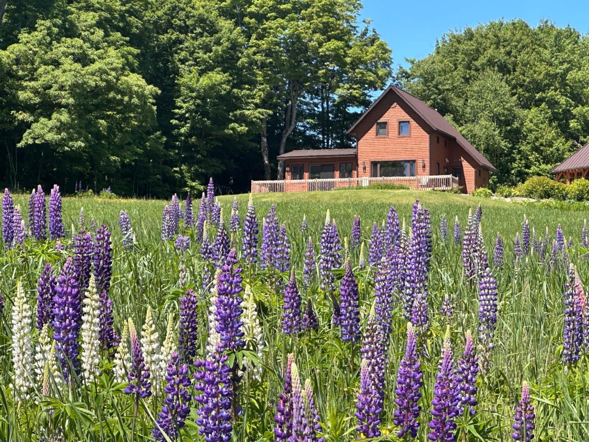 Domaine Gagnon Villa Saint Sebastien Exterior foto